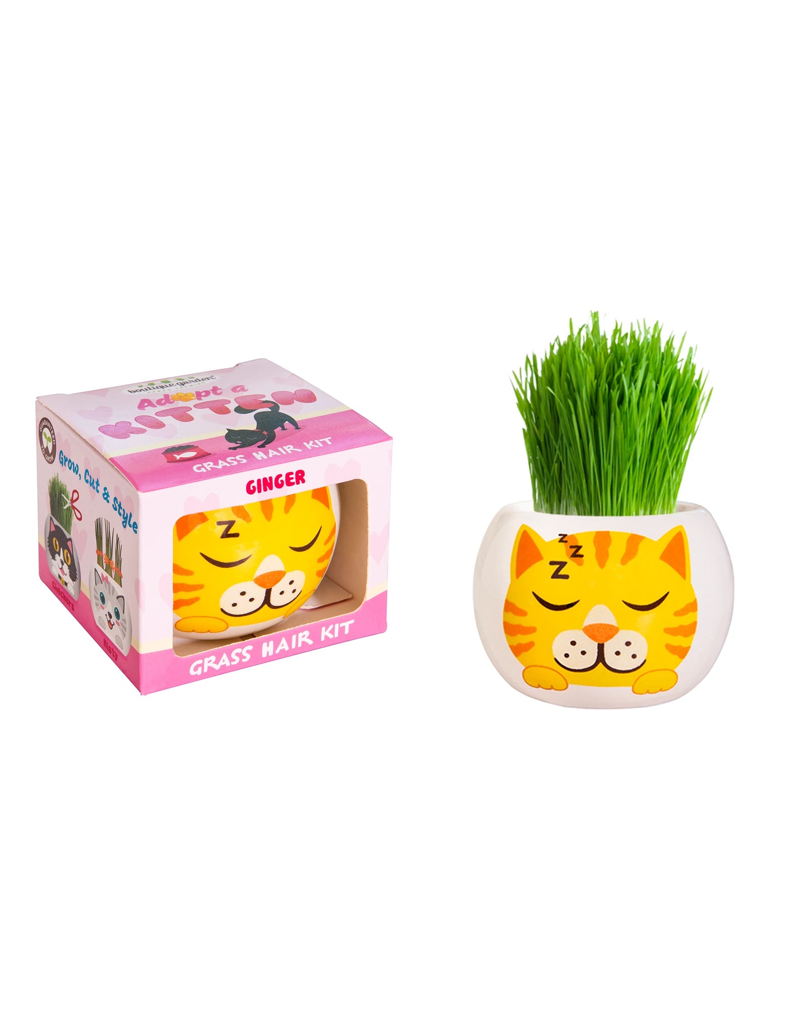 Educational toys for teaching marine biology​ Grass Hair Kit Kitten Ginger