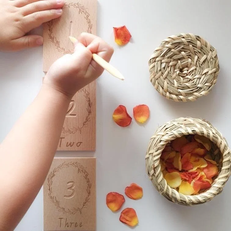 Language - learning educational toys for young children​ Number Blocks 1-12