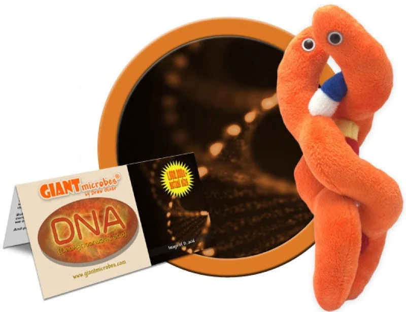 Plush toys for horse enthusiasts in horse - shaped forms​ DNA - GIANTmicrobes® Plush Toy